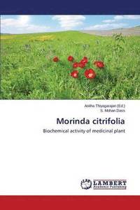 bokomslag Morinda Citrifolia