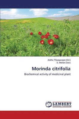 bokomslag Morinda Citrifolia