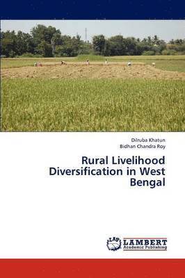 bokomslag Rural Livelihood Diversification in West Bengal