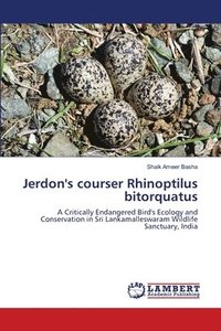 bokomslag Jerdon's courser Rhinoptilus bitorquatus