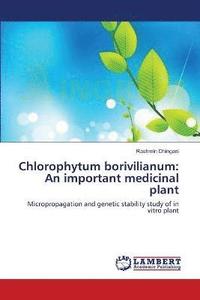 bokomslag Chlorophytum borivilianum