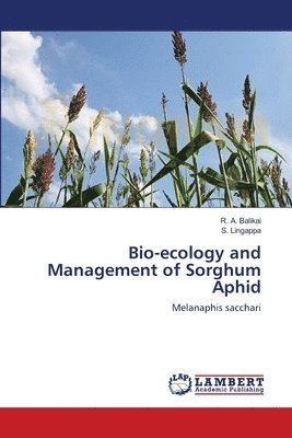 Bio-ecology and Management of Sorghum Aphid 1