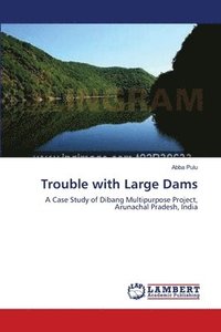 bokomslag Trouble with Large Dams