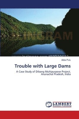 Trouble with Large Dams 1