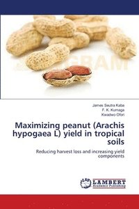 bokomslag Maximizing peanut (Arachis hypogaea L) yield in tropical soils