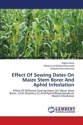 bokomslag Effect Of Sowing Dates On Maize Stem Borer And Aphid Infestation