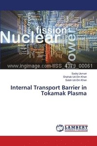 bokomslag Internal Transport Barrier in Tokamak Plasma