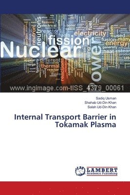bokomslag Internal Transport Barrier in Tokamak Plasma