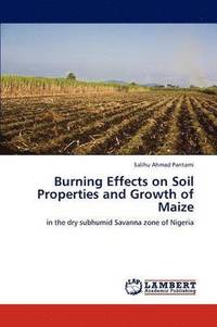 bokomslag Burning Effects on Soil Properties and Growth of Maize