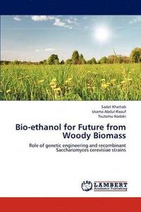 bokomslag Bio-ethanol for Future from Woody Biomass