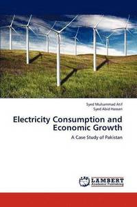 bokomslag Electricity Consumption and Economic Growth
