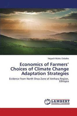 Economics of Farmers' Choices of Climate Change Adaptation Strategies 1