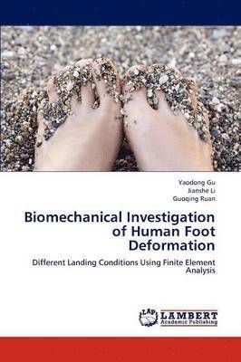 Biomechanical Investigation of Human Foot Deformation 1