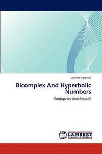 bokomslag Bicomplex And Hyperbolic Numbers