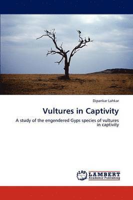 bokomslag Vultures in Captivity
