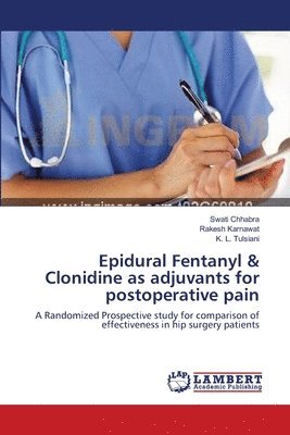 Swati Chhabra, Rakesh Karnawat, K L Tulsiani, K. L. Tulsiani - Epidural Fentanyl & Clonidine as adjuvants for postoperative pain, Häftad