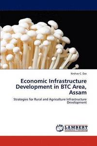 bokomslag Economic Infrastructure Development in BTC Area, Assam