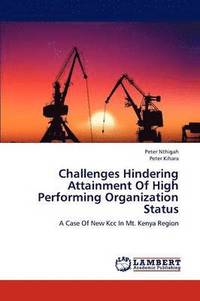bokomslag Challenges Hindering Attainment Of High Performing Organization Status