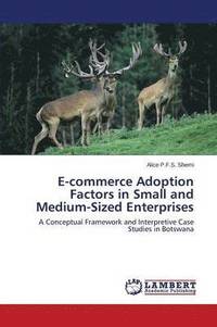 bokomslag E-Commerce Adoption Factors in Small and Medium-Sized Enterprises