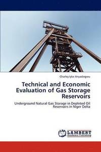 bokomslag Technical and Economic Evaluation of Gas Storage Reservoirs