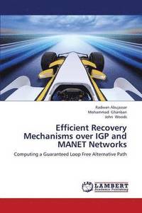 bokomslag Efficient Recovery Mechanisms Over Igp and Manet Networks