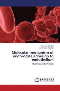 bokomslag Molecular Mechanism of Erythrocyte Adhesion to Endothelium