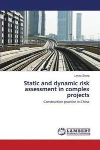 bokomslag Static and dynamic risk assessment in complex projects
