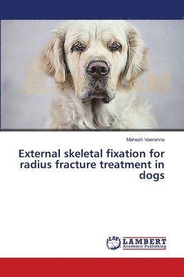 External skeletal fixation for radius fracture treatment in dogs 1