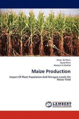 Maize Production 1