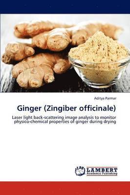 Ginger (Zingiber Officinale) 1