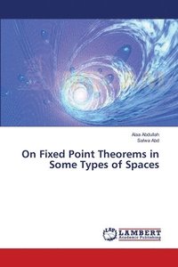 bokomslag On Fixed Point Theorems in Some Types of Spaces