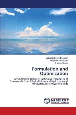Formulation and Optimization 1