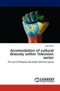 bokomslag Accomodation of Cultural Diversity Within Television Sector