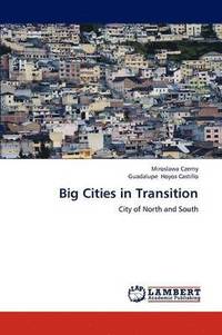bokomslag Big Cities in Transition