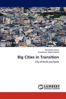 bokomslag Big Cities in Transition