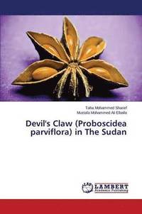 bokomslag Devil's Claw (Proboscidea parviflora) in The Sudan