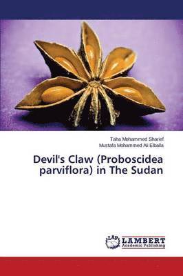 Devil's Claw (Proboscidea parviflora) in The Sudan 1