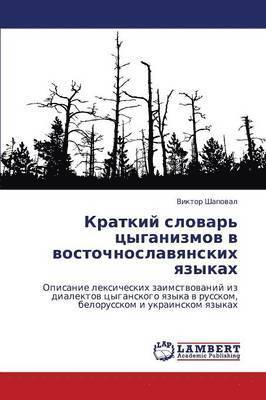 Kratkiy Slovar' Tsyganizmov V Vostochnoslavyanskikh Yazykakh 1