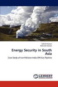 bokomslag Energy Security in South Asia