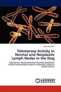 bokomslag Telomerase Activity in Normal and Neoplastic Lymph Nodes in the Dog