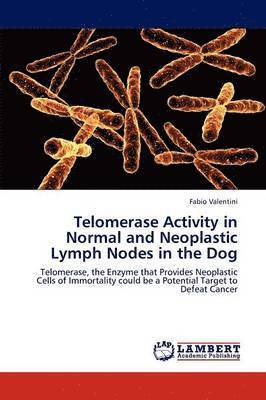 Telomerase Activity in Normal and Neoplastic Lymph Nodes in the Dog 1