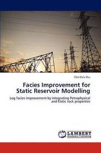 bokomslag Facies Improvement for Static Reservoir Modelling
