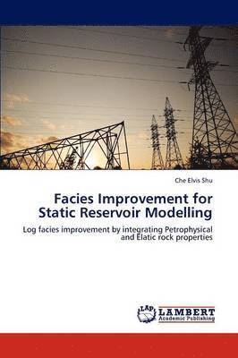Facies Improvement for Static Reservoir Modelling 1
