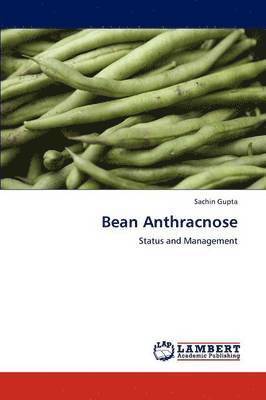 Bean Anthracnose 1