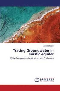 bokomslag Tracing Groundwater in Karstic Aquifer