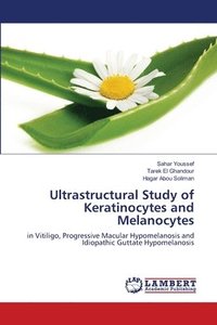 bokomslag Ultrastructural Study of Keratinocytes and Melanocytes