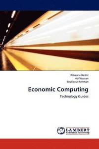 bokomslag Economic Computing