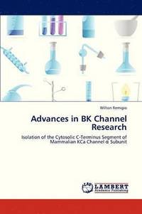 bokomslag Advances in Bk Channel Research