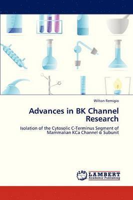 Advances in Bk Channel Research 1