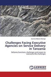 bokomslag Challenges Facing Executive Agencies on Service Delivery in Tanzania